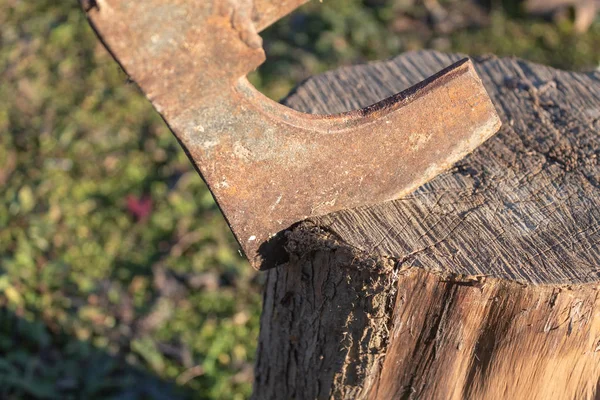 kesme günlük görünümü Kapat kışın gömülü balta