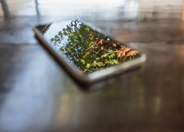 Yansıtılmış odak açık akıllı telefon ekranýnda. yansıma