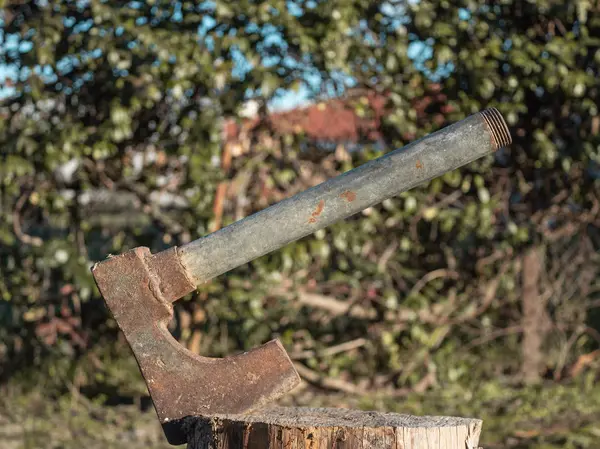 ahşap ucuz zavallı yeşil arka planda gömülü paslı metal balta