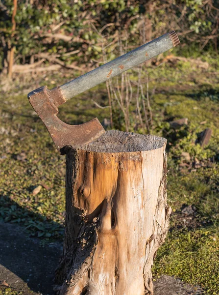 Rostiga Stål Axe Inbäddade Klippa Logg — Stockfoto