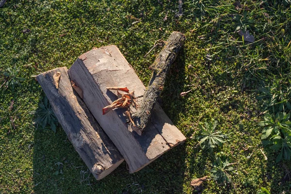 yakacak odun moss yaprak yeşil ıslak çimenlerin üzerinde kesmek