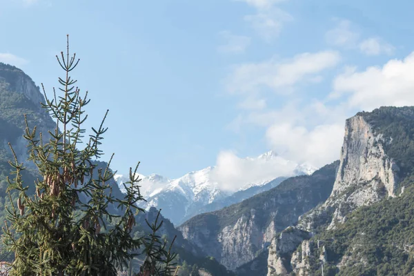 mount olympus peak covered in snow and clouds. ground view