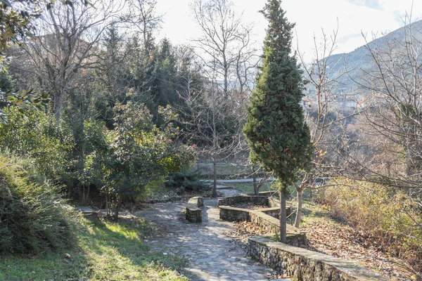 güzel park güneş ışığı kış gündüz