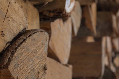 kullanılmayan eski odun net terk örümcek kadar kapatın