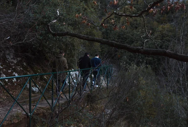 Dağın ormanın içinde yürüyüş yolda 3 kişi