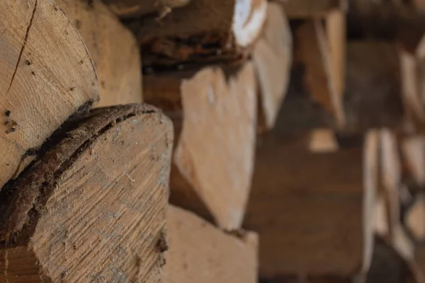 kullanılmayan eski odun net terk örümcek kadar kapatın