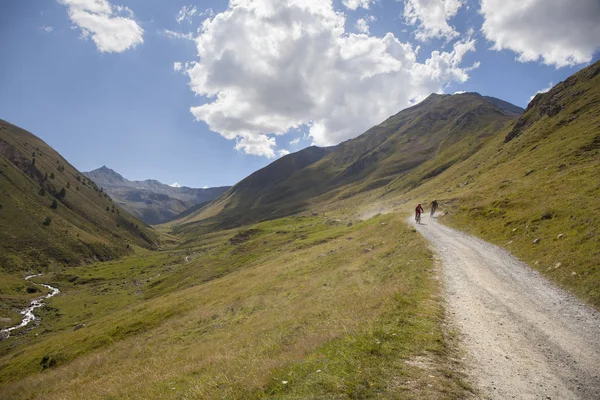 Les Cyclistes Haute Montagne Descendent Grande Vitesse Sur Chemin Terre — Photo