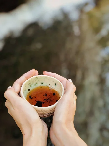 Tee Trinken Der Natur Der Nähe Des Wasserfalls — Stockfoto