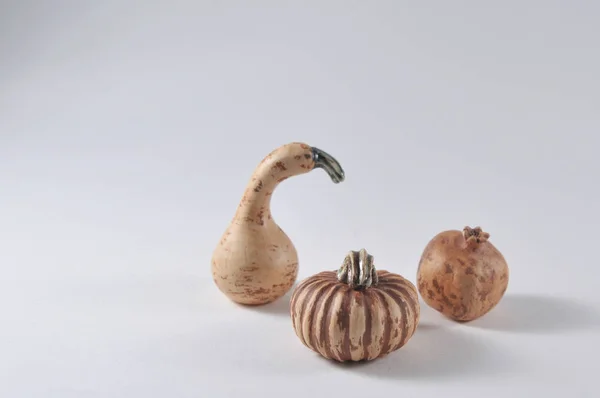 Çanak çömlek balkabağı. Çin Teaware. 