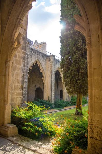 Ruínas Mosteiro Abadia Bellapais Kyrenia Girne Com Arcos Pedra Thujas — Fotografia de Stock