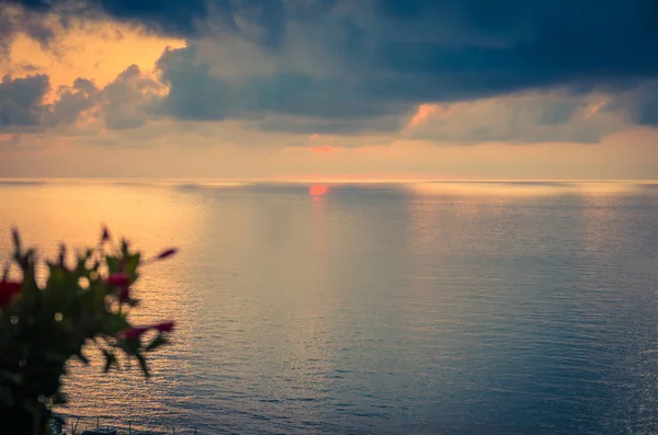 Aerial view amazing sea sunset, seascape and endless horizon with color dramatic sky on backgrond, blurred pink rose red beautiful bush of flowers foreground, Tyrrhenian sea, Calabria, Southern Italy
