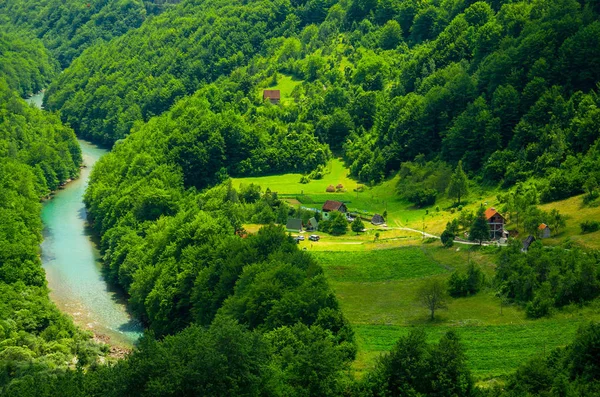 Kleine Dorfhäuser Grünen Wald Der Nähe Der Schlucht Des Flusses — Stockfoto