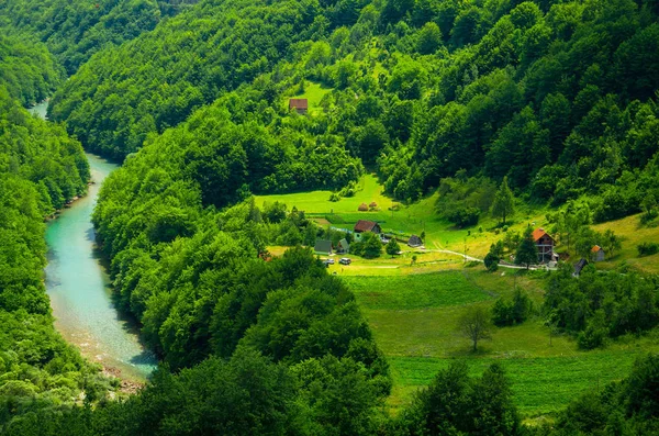 Piccole Case Villaggio Nella Foresta Verde Vicino Canyon Della Gola — Foto Stock