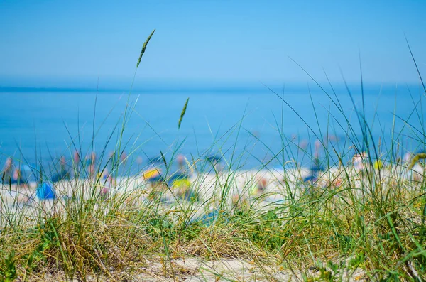 立陶宛波罗的海柯伦尼群岛国家公园库尔苏内里加的沙滩和蓝天前的绿草 — 图库照片