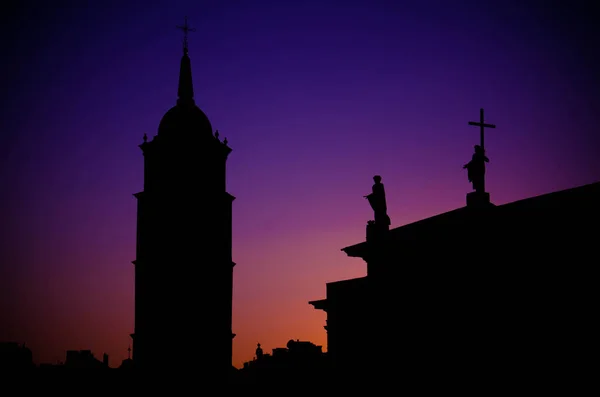 Silhouette Clocher Monuments Sur Toit Basilique Cathédrale Saint Stanislas Saint — Photo