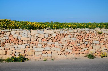 Sarı turuncu duvarı boyunca asfalt sokak ve papatya Papatya alan yukarıda ve mavi gökyüzü Dingli Cliffs, Malta yakınındaki taş tuğla