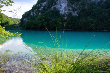 Güzel bir açık turkuaz su, yeşil bitkiler ağaçlar ve dağlar taşlar arka plan, milli park Plitvice Gölleri, Hırvatistan, Avrupa ile göl manzarası