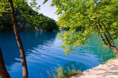 Güzel bir açık turkuaz su, yeşil bitkiler ağaçlar ve dağlar kayalarda arka plan, milli park Plitvice Gölleri, Hırvatistan, Avrupa'nın balıklı göl manzarası