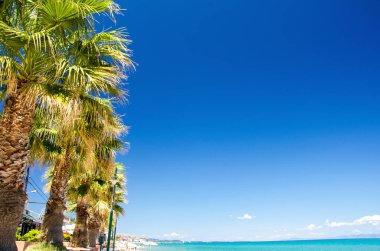 Mavi cennet su Toroneos kolpos Körfezi, mavi gökyüzü, beyaz bulutlar ve avuç içi ağaçta Pefkohori beach Halkidiki Kassandra, Makedonya, Yunanistan