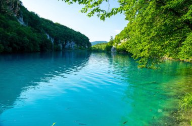 Güzel bir açık turkuaz su, yeşil bitkiler ağaçlar ve dağlar taşlar arka plan, milli park Plitvice Gölleri, Hırvatistan, Avrupa ile göl manzarası