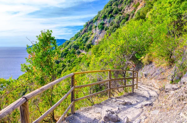 Voetgangers Stenen Pad Wandelweg Met Trapleuning Tussen Dorpen Van Corniglia — Stockfoto