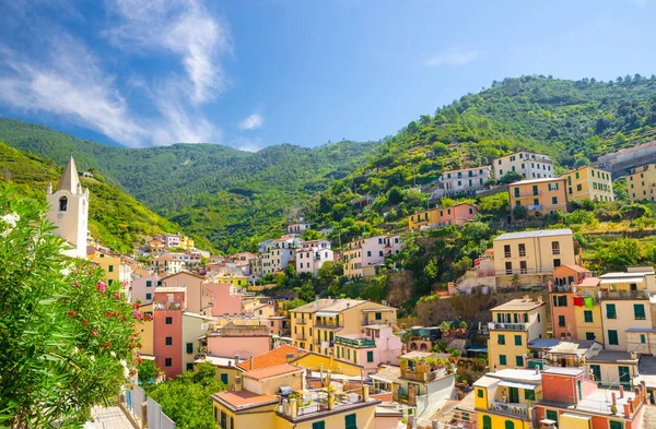 Edifícios Coloridos Multicoloridos Casas Colina Verde Vale Riomaggiore Tradicional Aldeia — Fotografia de Stock