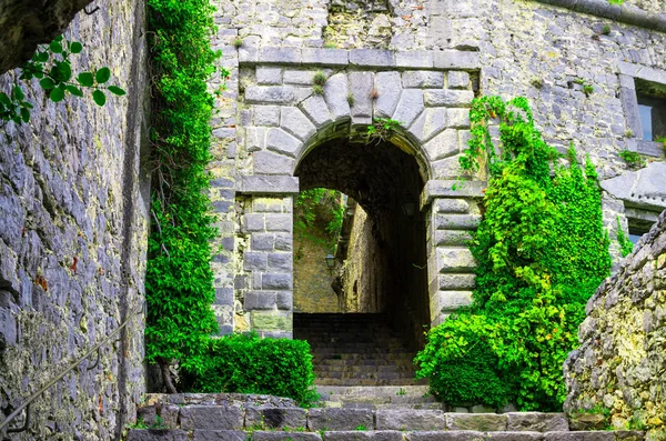 Paredes Pedra Arcos Escadas Candeeiros Plantas Verdes Penduradas Antiga Torre — Fotografia de Stock