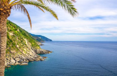 Yeşil tepeler, kayalar, kayalıklar ve palmiye ön plan, Cenova Körfezi, Ligurian Denizi, Riviera di Levante kıyı şeridi, Milli park Cinque Terre, La Spezia, Liguria, İtalya Havadan üst panoramik görünümü