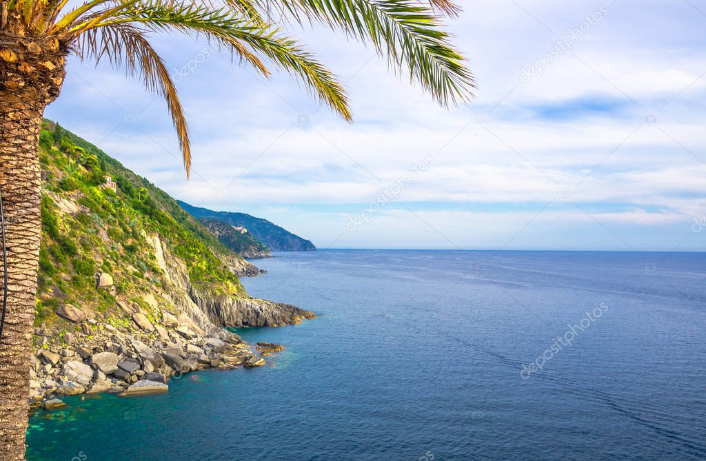 Aerial top panoramic view of green hills, rocks, cliffs and palm foreground, Gulf of Genoa, Ligurian Sea, coastline of Riviera di Levante, National park Cinque Terre, La Spezia, Liguria, Italy