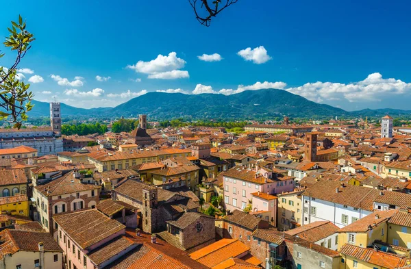 Vista Panorâmica Superior Aérea Centro Histórico Cidade Medieval Lucca Com — Fotografia de Stock