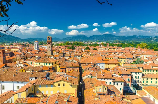 Vista Panorâmica Superior Aérea Centro Histórico Cidade Medieval Lucca Com — Fotografia de Stock