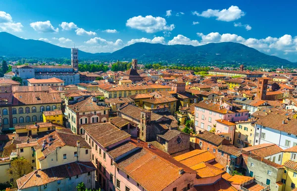 Vista Panorámica Aérea Del Centro Histórico Ciudad Medieval Lucca Con —  Fotos de Stock