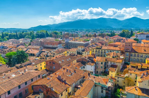 Vista Panorâmica Superior Aérea Centro Histórico Cidade Medieval Lucca Com — Fotografia de Stock