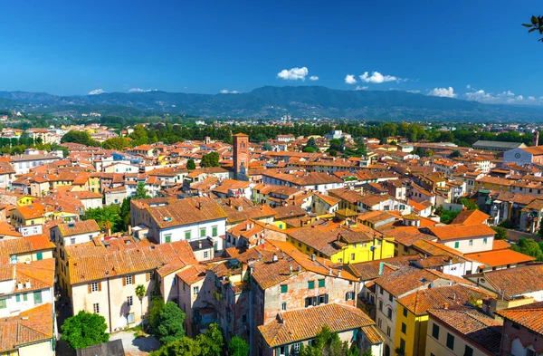 Vista Panorâmica Superior Aérea Centro Histórico Cidade Medieval Lucca Com — Fotografia de Stock