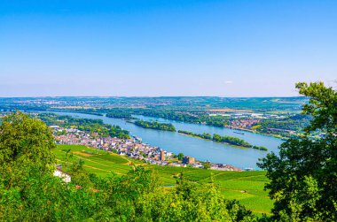 Rhine Vadisi ya da Yukarı Orta Ren Vadisi şarap üretim bölgesinin havadan panoramik manzarası
