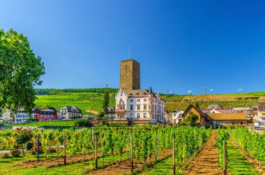 Rudesheim am Rhein 'da üzüm bağları, ahşap direkler ve taş kule binaları.