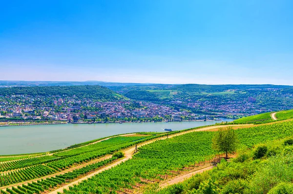 Воздушный панорамный вид на Рейнское ущелье или район виноделия Верхнего Среднего Рейна — стоковое фото