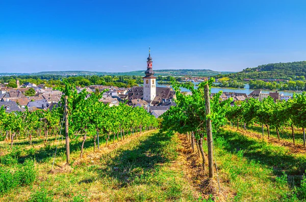 Rheingau şarap bölgesinin havadan görünüşü, Rudesheim am Rhein tarihi şehir merkezi ve St. Jakobus kilisesi.