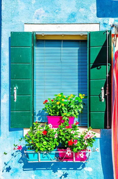 Ventana Verde Con Persiana Flores Decorativas Maceta Pared Azul Colorida —  Fotos de Stock