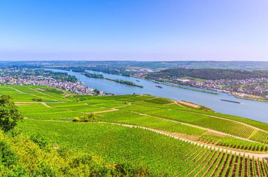 Rhine Vadisi ya da Yukarı Orta Ren Vadisi şarap üretim bölgesinin havadan panoramik manzarası