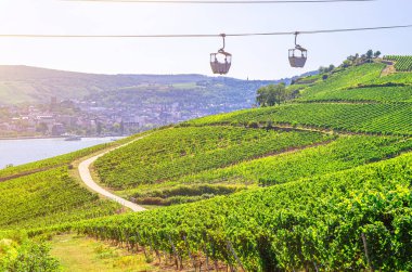 Rudesheim am Rhein kasabasından Roseneck 'e kadar halat halatında giden kablo araba.