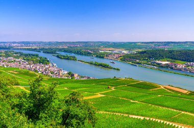 Rhine Vadisi 'nin hava panoramik manzarası veya üzüm bağları olan Yukarı Ren Vadisi şarap yapma bölgesi, Rudesheim am Rhein kasabası, mavi gökyüzü, Rhineland-Palatinate, Hesse eyaletleri, Almanya