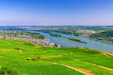 Rhine Vadisi 'nin hava panoramik manzarası veya üzüm bağları olan Yukarı Ren Vadisi şarap yapma bölgesi, Rudesheim am Rhein kasabası, mavi gökyüzü, Rhineland-Palatinate, Hesse eyaletleri, Almanya