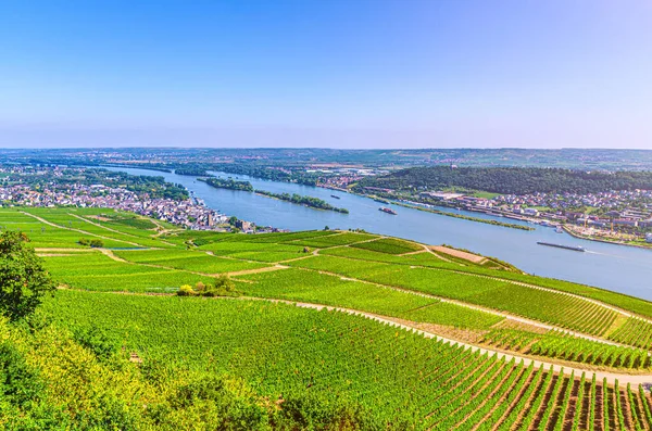 Воздушный Панорамный Вид Реку Рейн Ущелье Верхний Средний Рейн Долины — стоковое фото