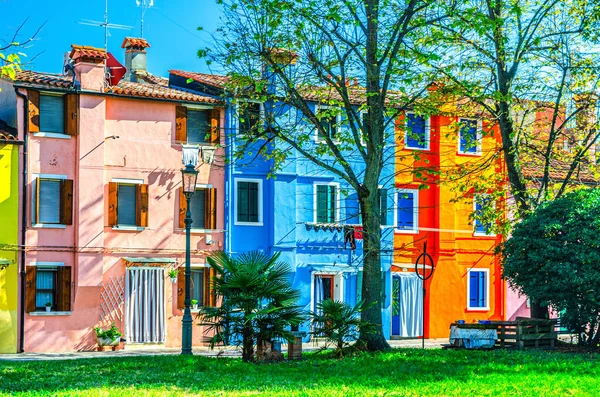 Row Colorful Houses Burano Island Multicolored Buildings Green Trees Lawn — Stock Photo, Image