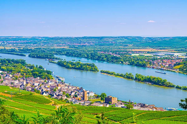 Luftaufnahme Rheinschlucht Oder Weinbaugebiet Oberes Mittelrheintal Mit Weinbergen Grüne Felder — Stockfoto