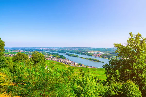 Luftaufnahme Der Rheinschlucht Oder Des Weinbaugebietes Oberes Mittelrheintal Mit Weinfeldern — Stockfoto