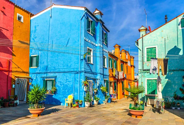 布尔诺岛上五彩缤纷的房子 意大利北部威尼斯地区威尼斯省一个阳光明媚的夏日 多彩的建筑和花盆中的蓝色天空背景小方块 Burano明信片 — 图库照片