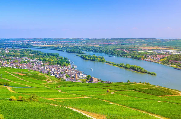 Luftaufnahme Rheinschlucht Oder Weinbaugebiet Oberes Mittelrheintal Mit Weinbergen Grüne Felder — Stockfoto