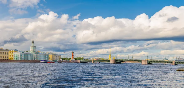 Панорама Санкт Петербурга Баскулярным Дворцовым Мостом Через Неву Здание Кунсткамеры — стоковое фото
